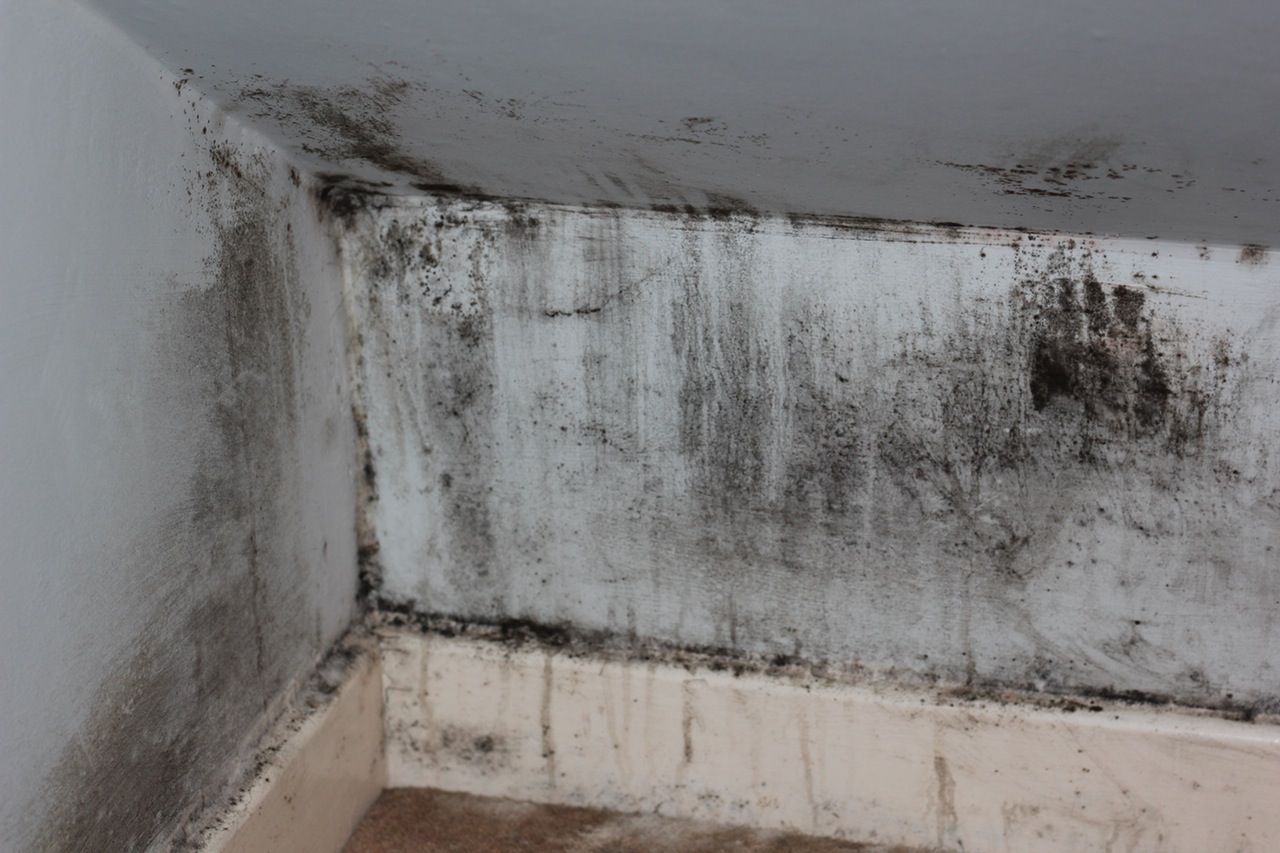 How to Improve Your Health by Ending Damp Problems
