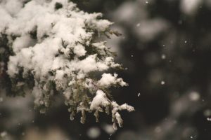 How to Protect Your Property in Winter