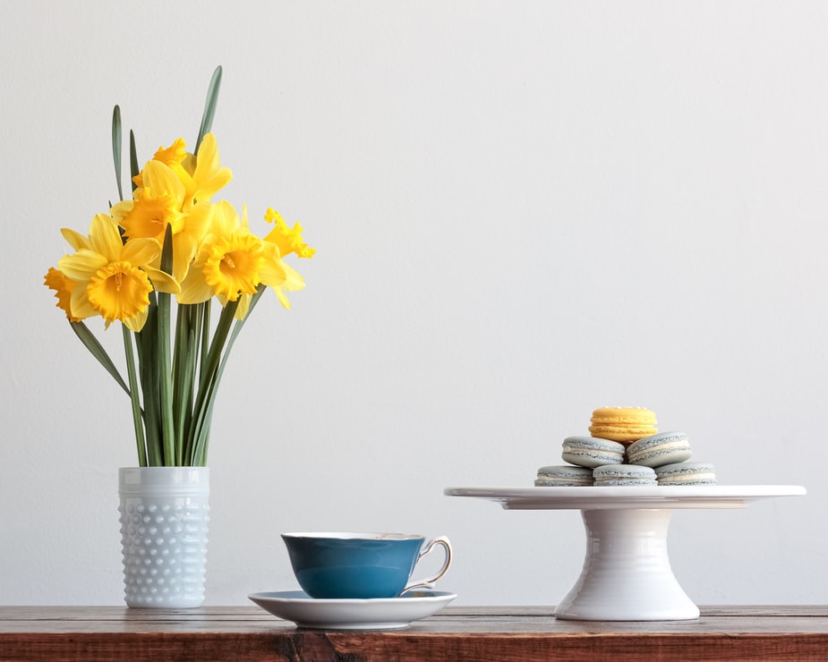 Our Top Tips for Spring Cleaning Your Boiler